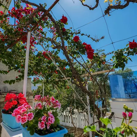 Fabeno 3* Saranda