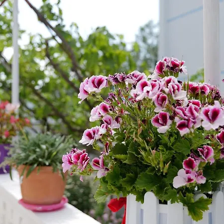 Guest house Fabeno